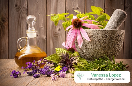 Conférence Spécial Naturopathie et Détox après les fêtes
