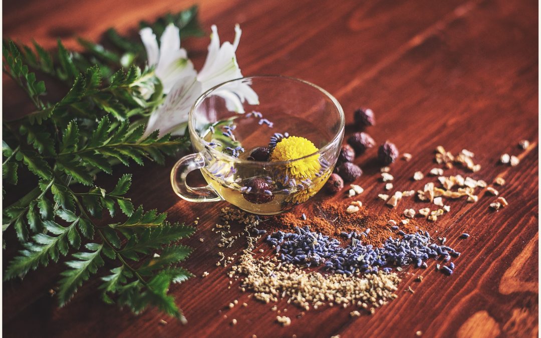 Naturopathie et Reiki : tout sur les alternatives de remboursement